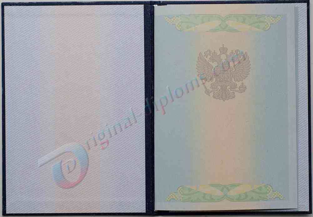 Диплом бакалавра 2009-2011