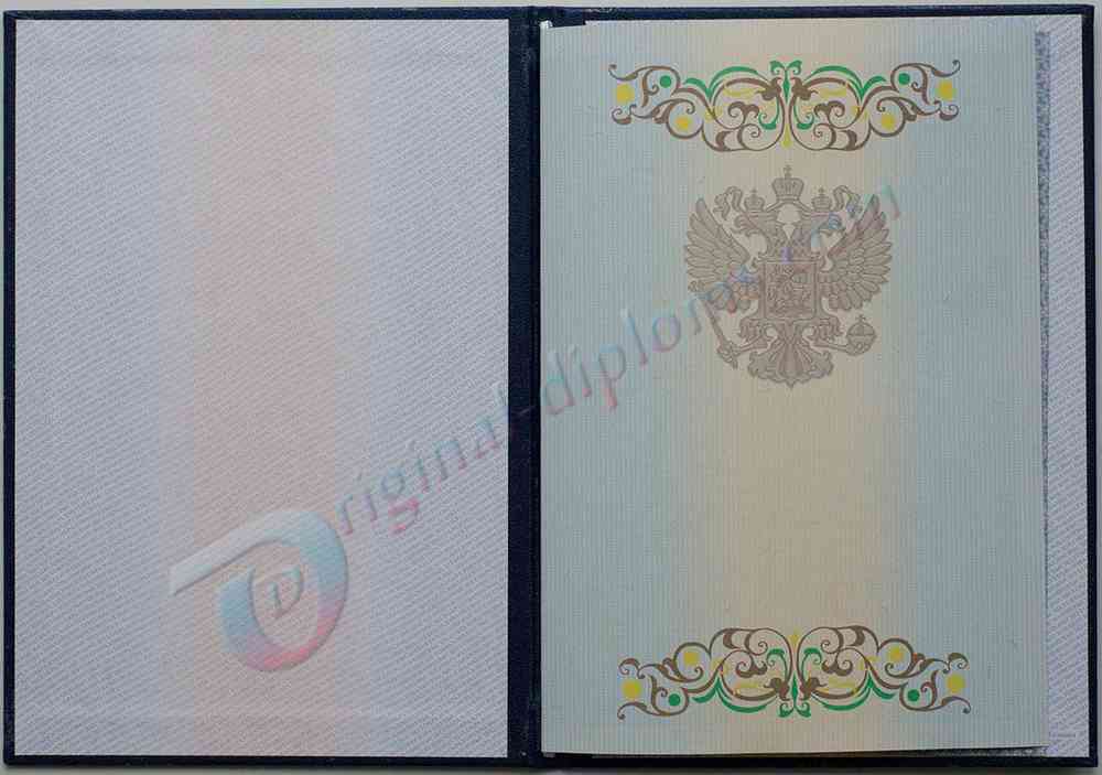 Диплом бакалавра 2011-2013